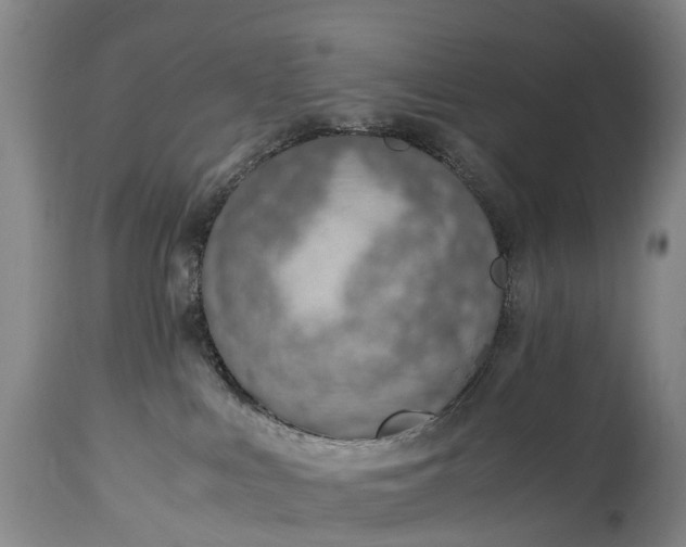 X0000115020043200911091452