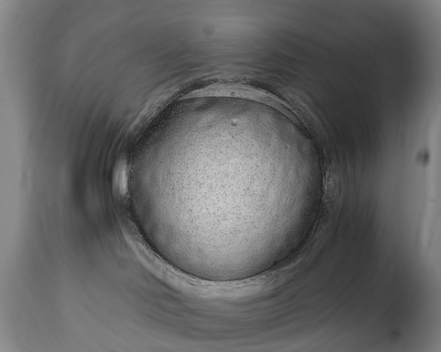 X0000115020046200911091452