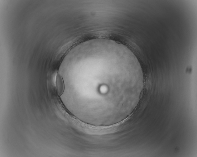 X0000115020047200911091452