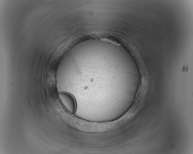 X0000115020048200911091452