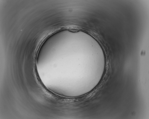 X0000115020049200911091451