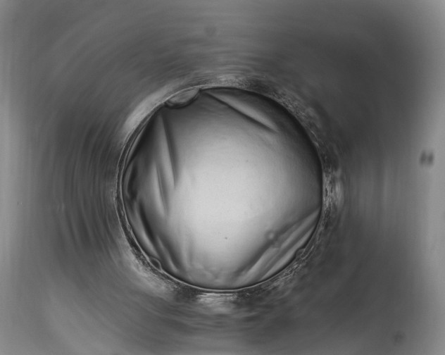 X0000115020051200911091451