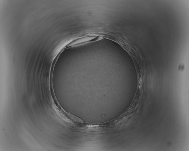 X0000115020052200911091451