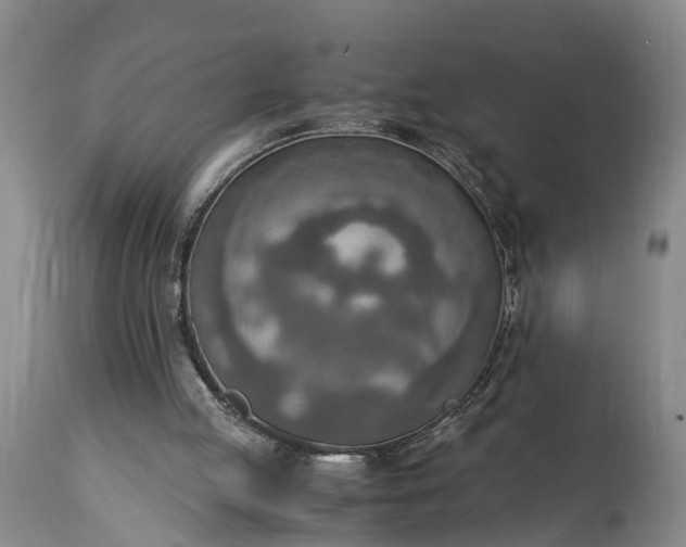 X0000115020053200911091451