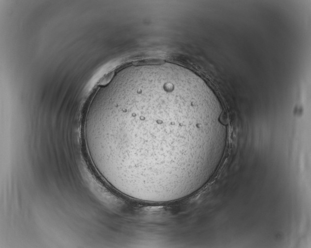 X0000115020054200911091451