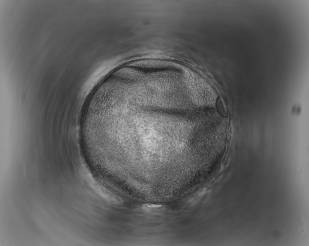 X0000115020055200911091451