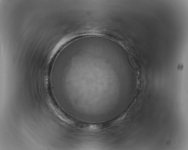 X0000115020056200911091451