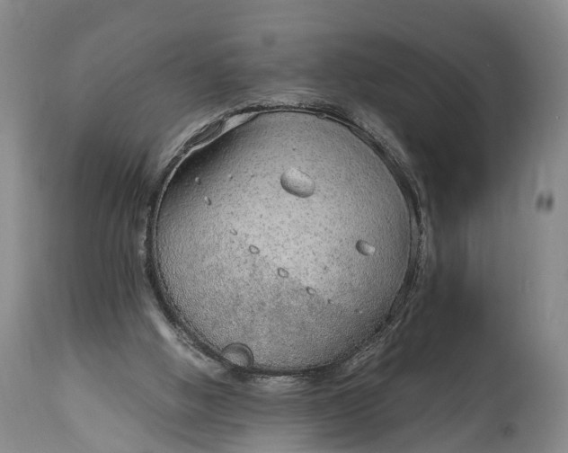 X0000115020058200911091451