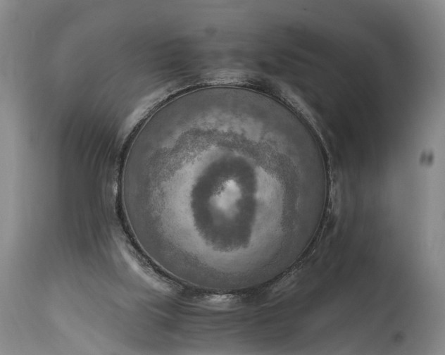 X0000115020059200911091451