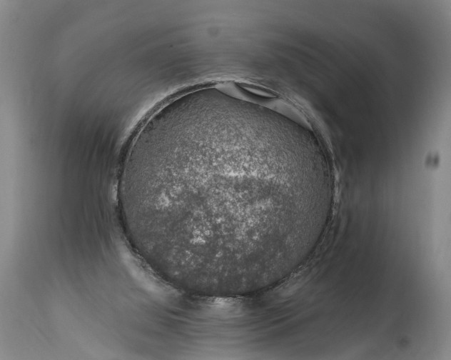 X0000115020060200911091451