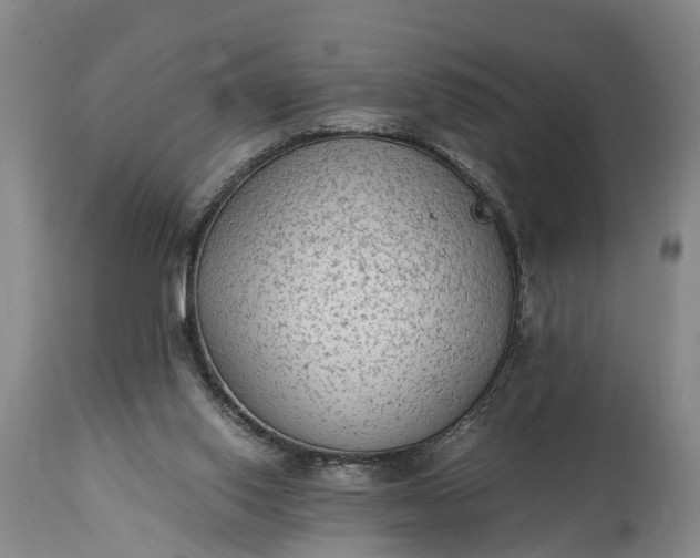 X0000115020062200911091452