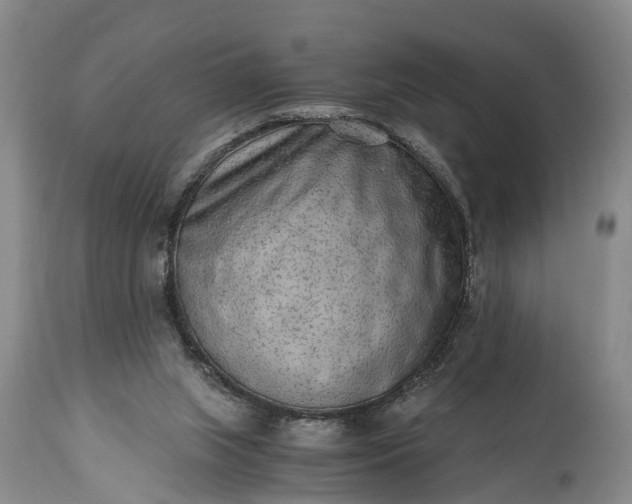 X0000115020063200911091452