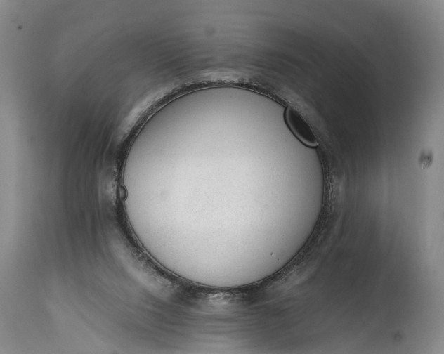 X0000115020064200911091452