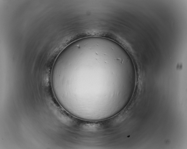 X0000115020065200911091452