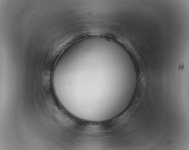 X0000115020066200911091452