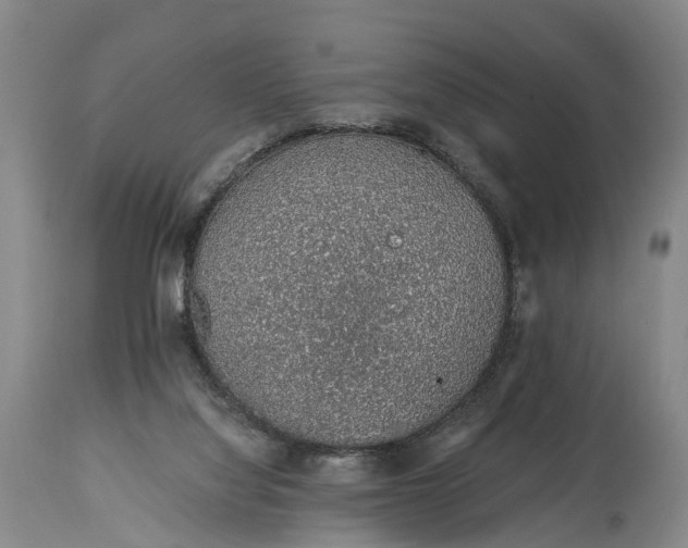 X0000115020068200911091452