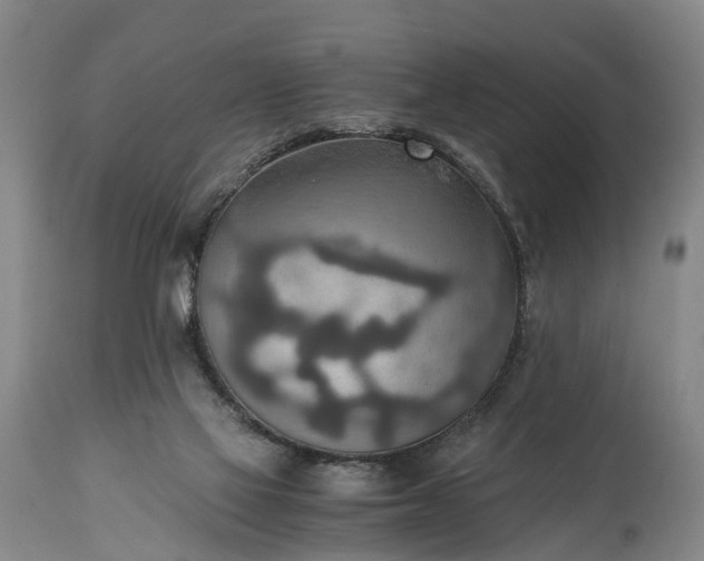 X0000115020069200911091452