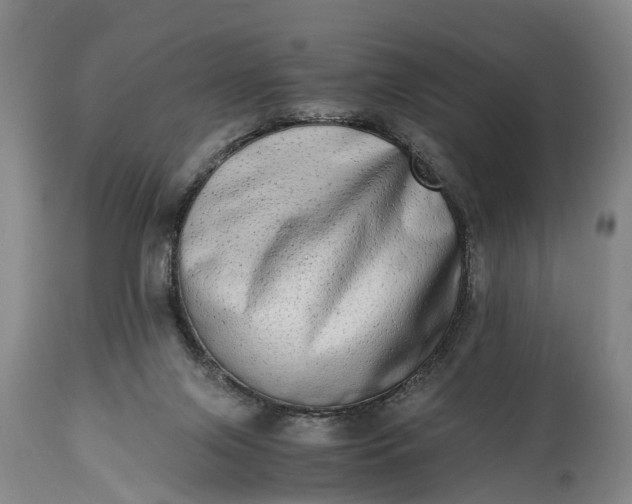 X0000115020071200911091452