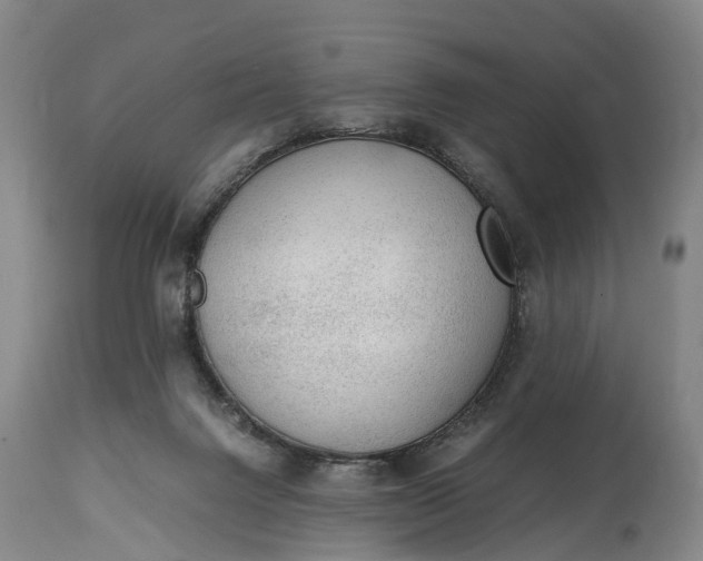 X0000115020072200911091452