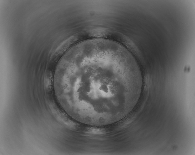 X0000115020073200911091452