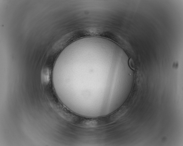 X0000115020075200911091452