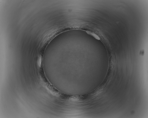 X0000115020076200911091452