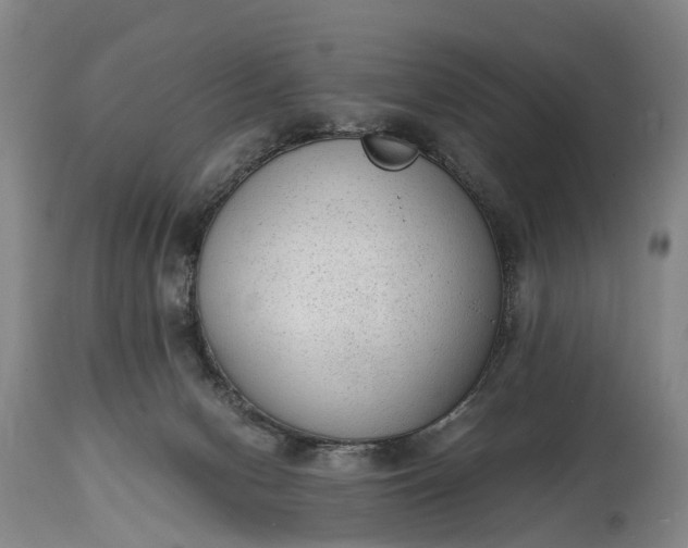 X0000115020078200911091452