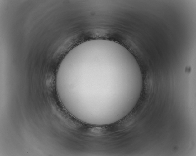 X0000115020079200911091452