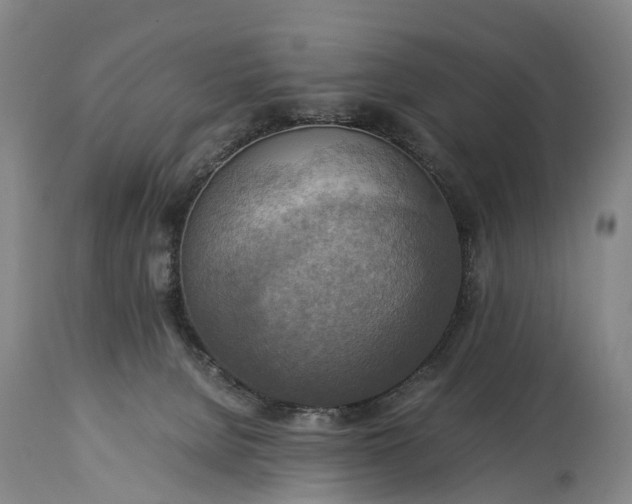 X0000115020080200911091452