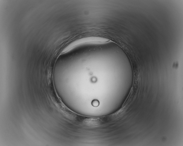 X0000115020082200911091452