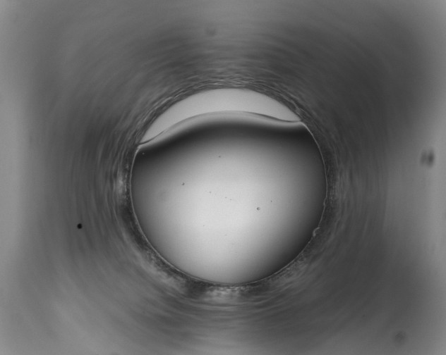 X0000115020084200911091452