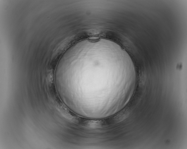 X0000115020085200911091452