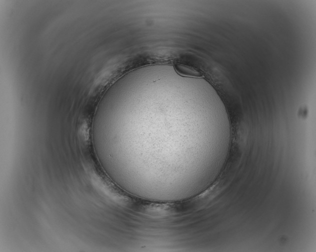 X0000115020086200911091452