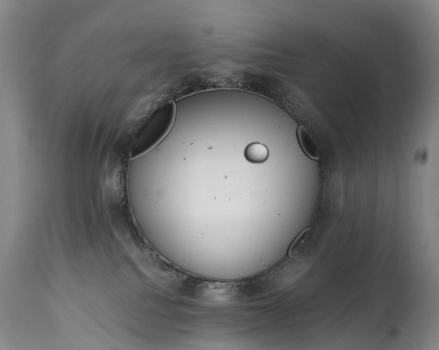 X0000115020088200911091452