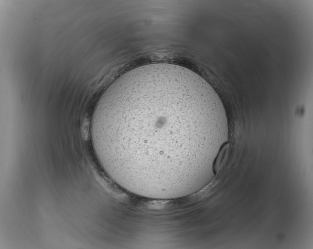 X0000115020090200911091452