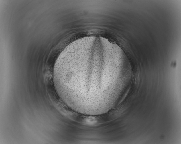 X0000115020091200911091452