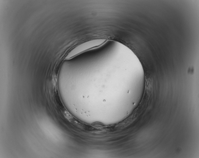 X0000115020095200911091452