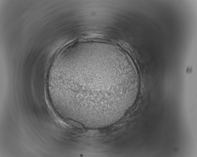 X0000115020097200911091451