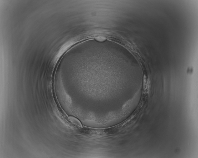 X0000115020099200911091451