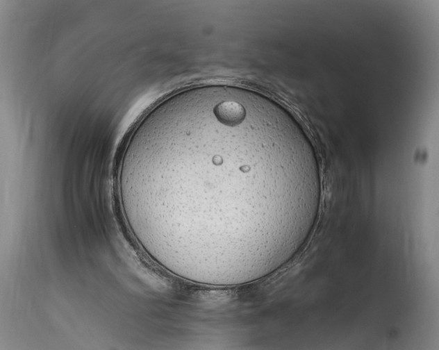 X0000115020102200911091451