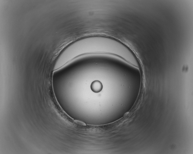 X0000115020105200911091451