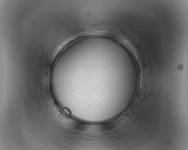 X0000115020107200911091451