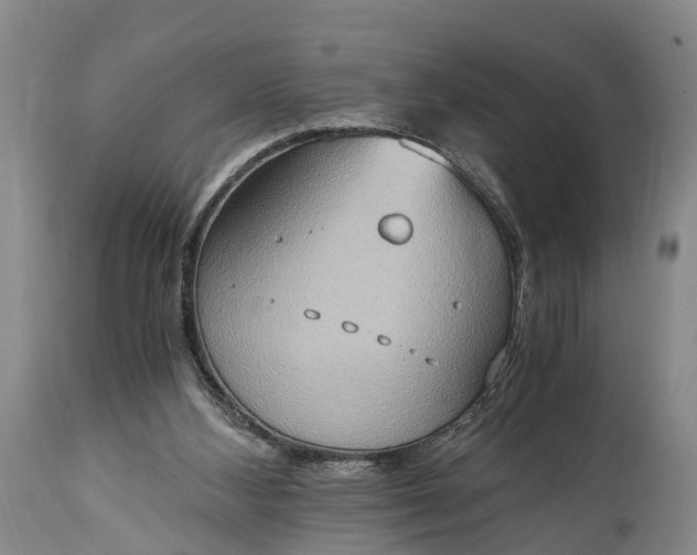 X0000115020108200911091451