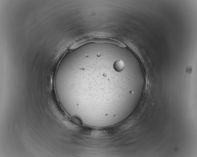 X0000115020109200911091451