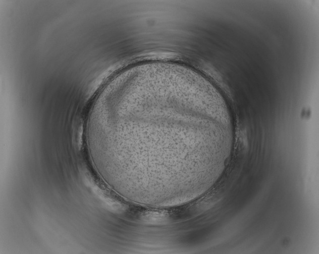 X0000115020110200911091451