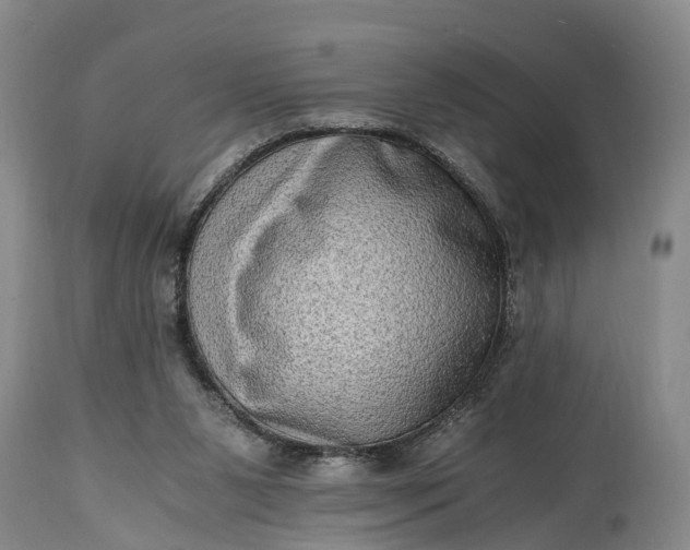 X0000115020111200911091451