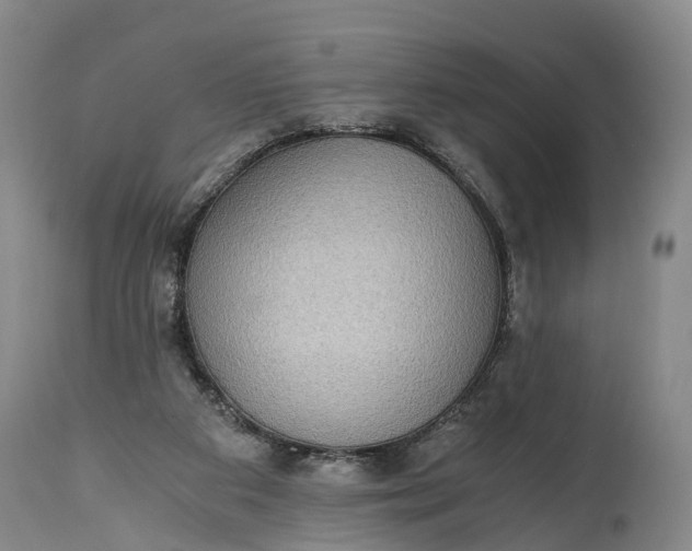 X0000115020113200911091451