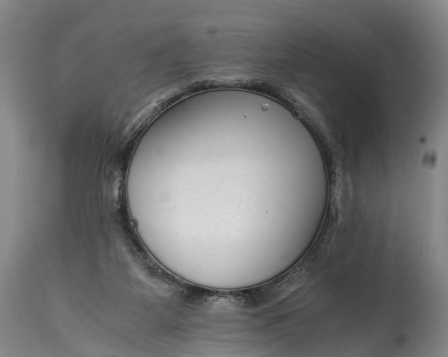 X0000115020115200911091451