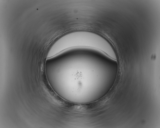 X0000115020117200911091451