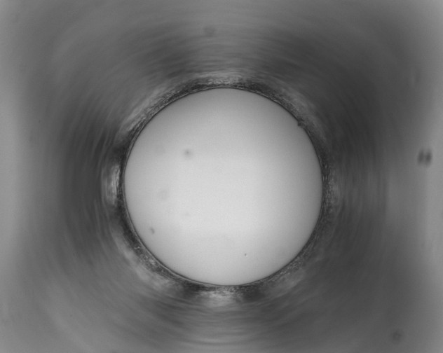 X0000115020118200911091451